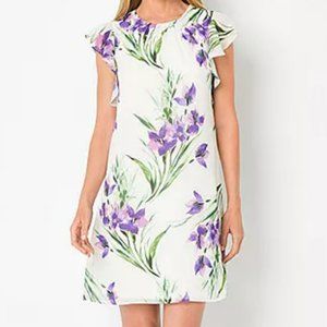Jessica Howard Sleeveless Floral Shift Dress - White with Purple Flowers